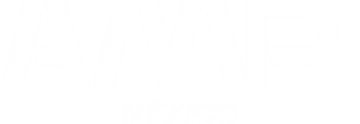 AMPI, Asociación Mexicana de Profesionales Inmobiliarios